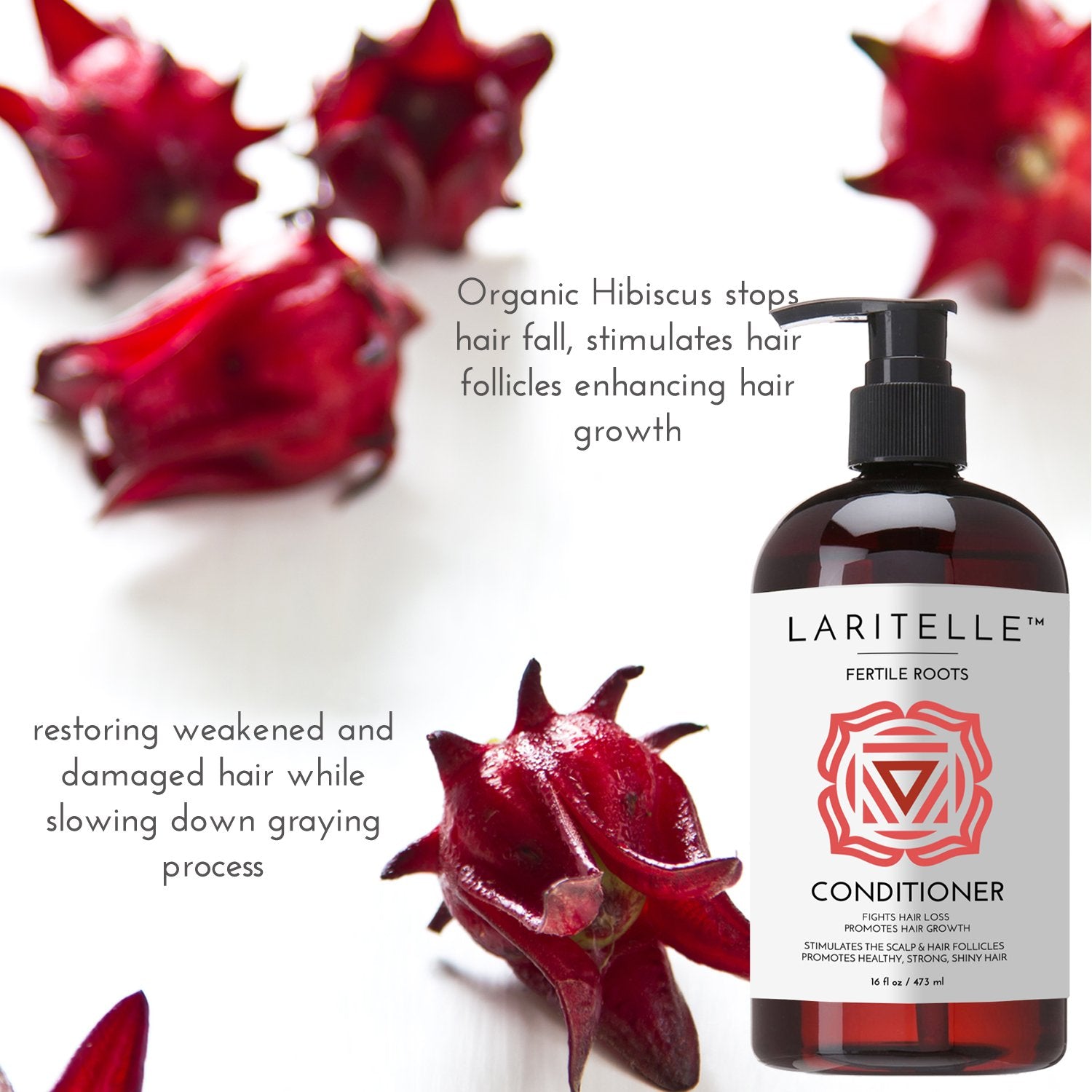 Laritelle Organic Conditioner, Fortifying, Strengthening and Rejuvenating, Stops Hair Shedding, Promotes New Hair Growth, Ayurveda Herbs, Lavender, Ginger, Rosemary, Patchouli and Cloves, 16 oz.